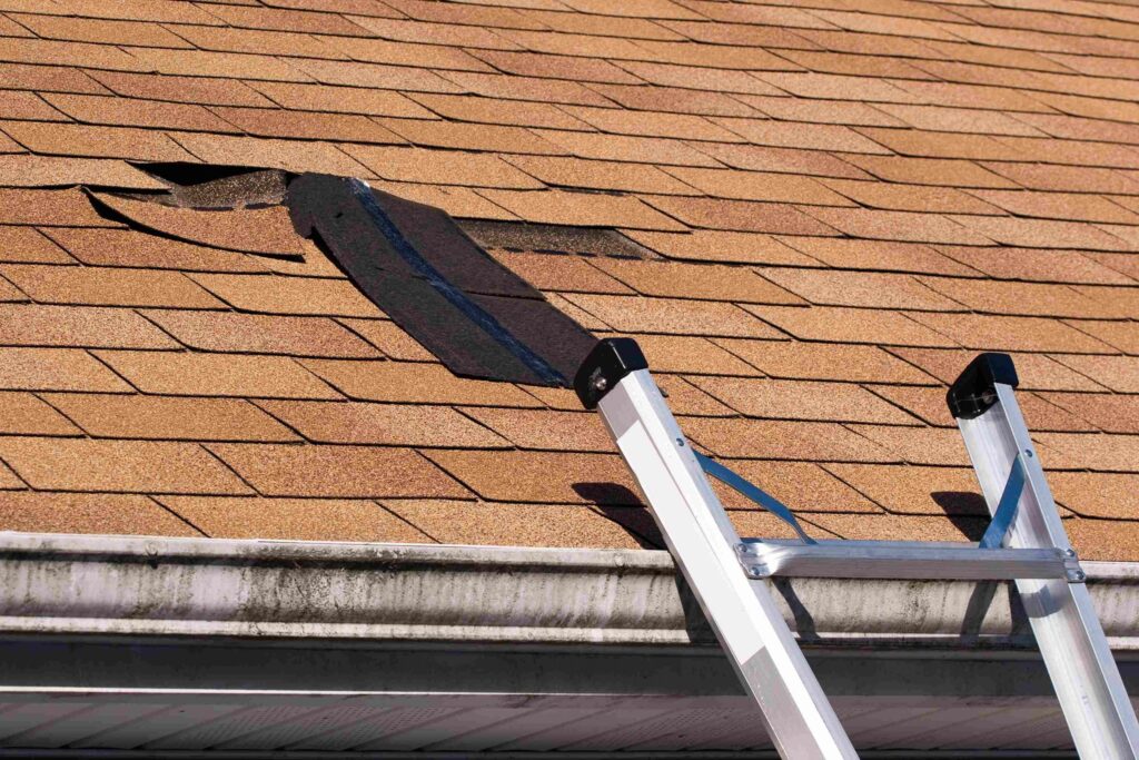 Shingle that needs roof repair