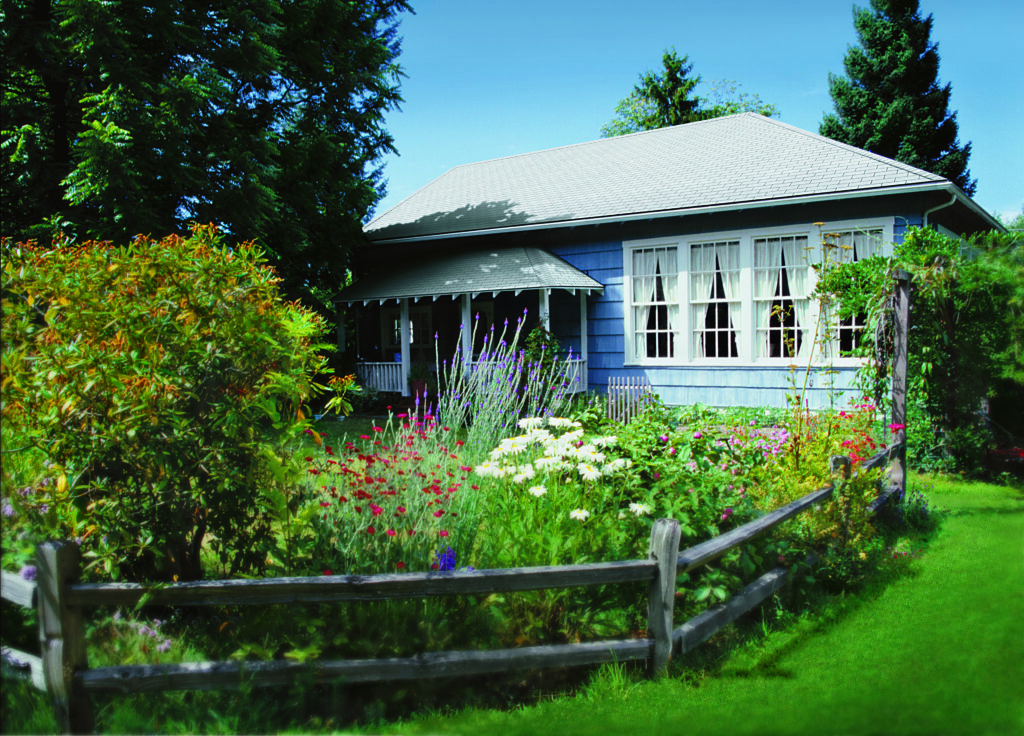 Blue house