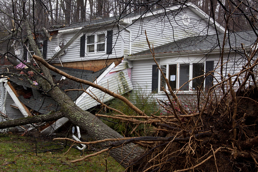 Image of Severe Roof Damage